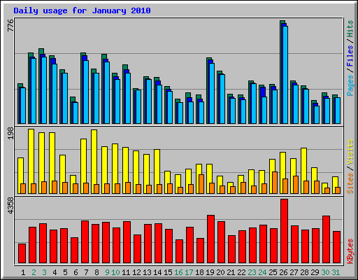 Daily usage for January 2010