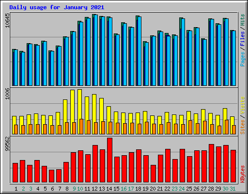 Daily usage for January 2021