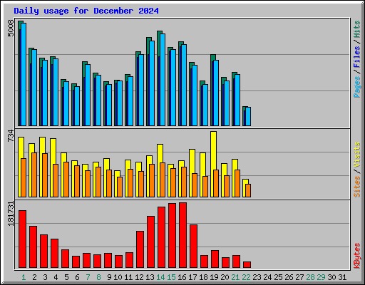 Daily usage for December 2024