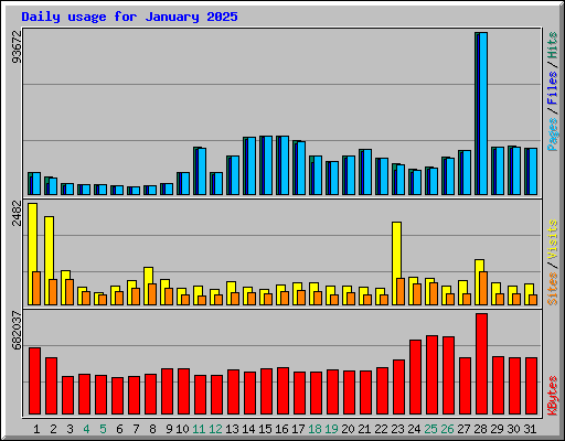 Daily usage for January 2025