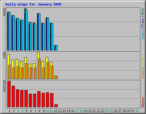 Daily usage for January 2026