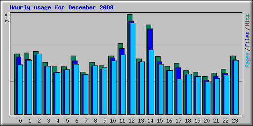 Hourly usage for December 2009