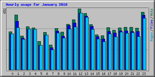 Hourly usage for January 2010