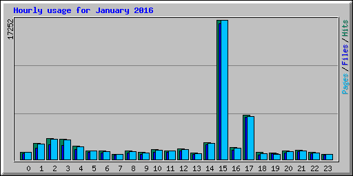 Hourly usage for January 2016