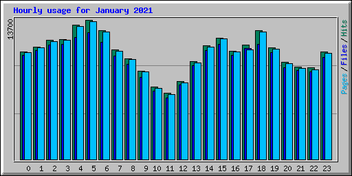 Hourly usage for January 2021