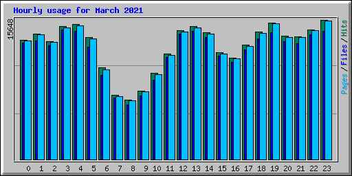 Hourly usage for March 2021