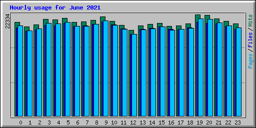 Hourly usage for June 2021