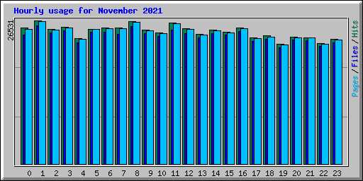 Hourly usage for November 2021