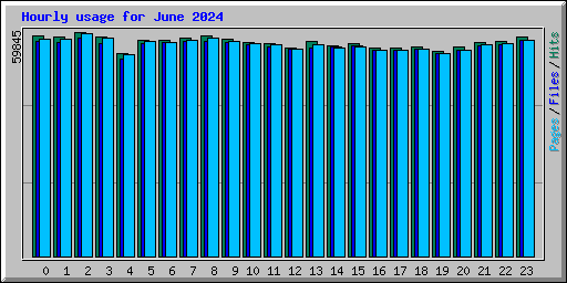 Hourly usage for June 2024