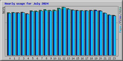 Hourly usage for July 2024