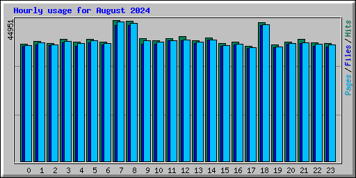 Hourly usage for August 2024