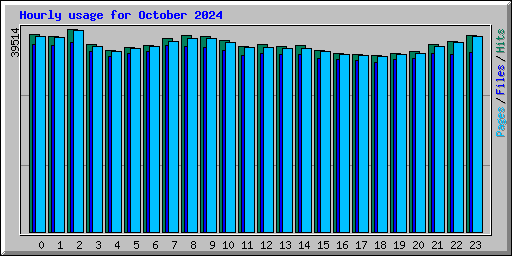 Hourly usage for October 2024