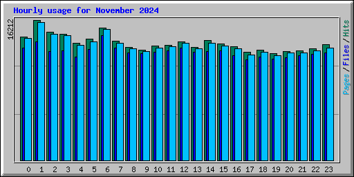 Hourly usage for November 2024