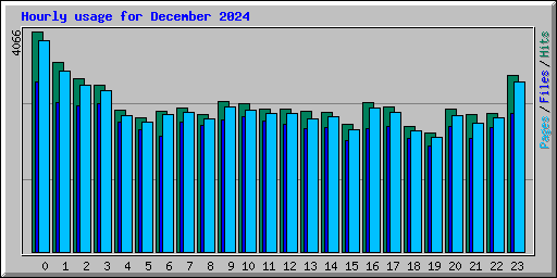 Hourly usage for December 2024