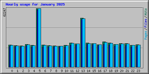 Hourly usage for January 2025