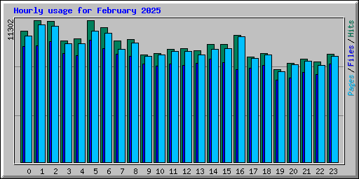 Hourly usage for February 2025