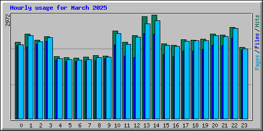 Hourly usage for March 2025