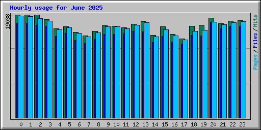 Hourly usage for June 2025