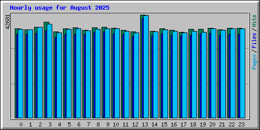 Hourly usage for August 2025