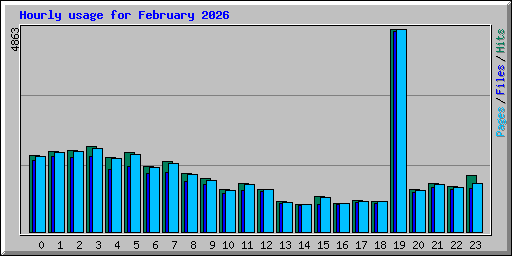Hourly usage for February 2026